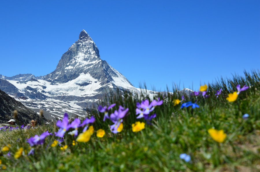 Switzerland Beyond the Alps: A Comprehensive Guide for Exchange Students